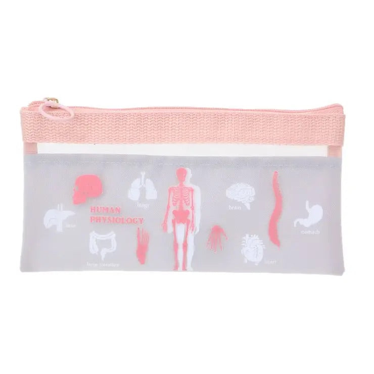 GREENFLASH: STUDY HOLIC - PENCIL CASE (HUMAN PHYSIOLOGY)