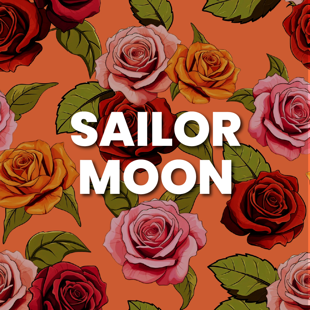 SAILOR MOON COLLECTION