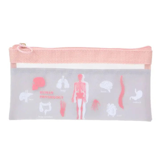 GREENFLASH: STUDY HOLIC - PENCIL CASE (HUMAN PHYSIOLOGY)