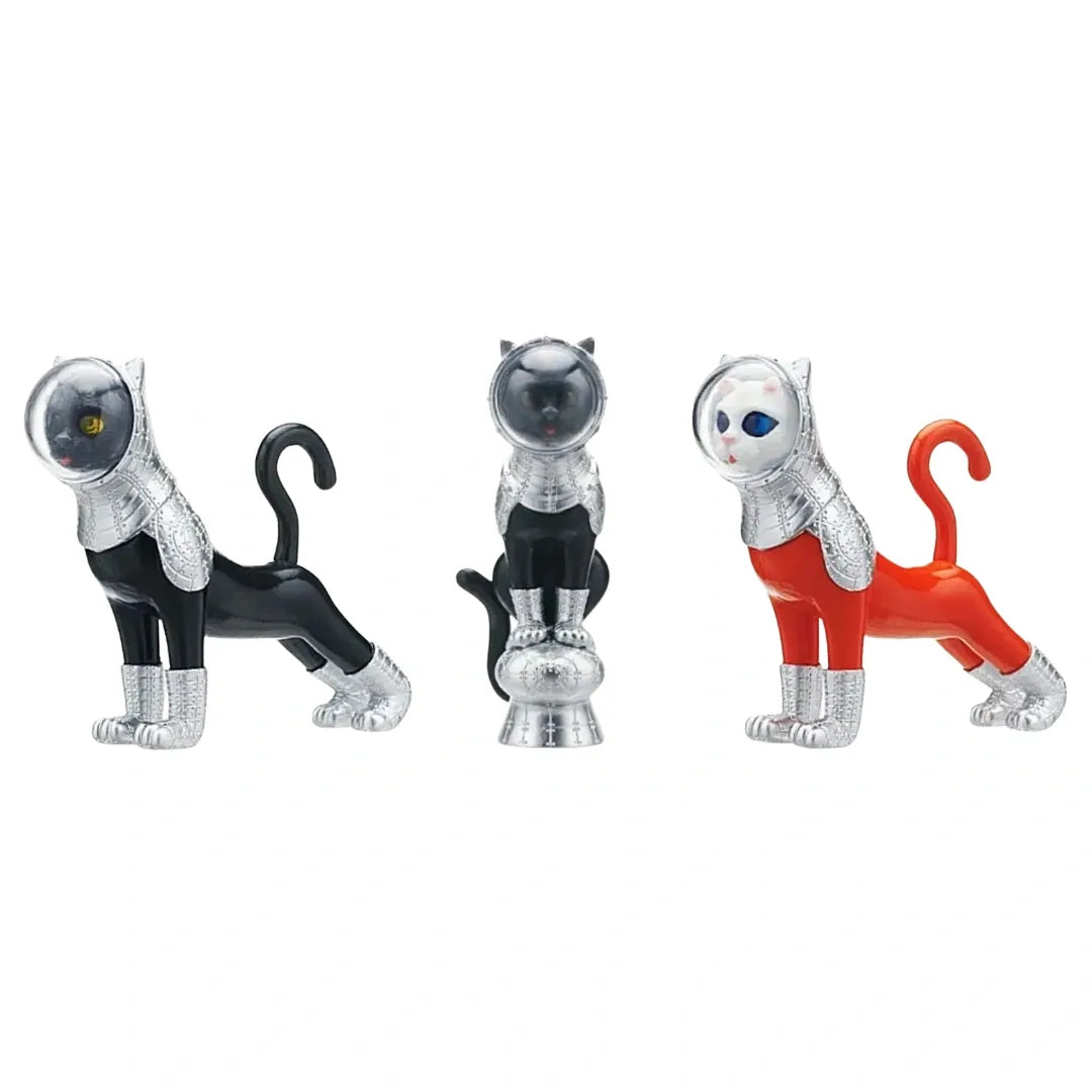 GINZA-SIX-SHIPS-CAT-BLIND-BLACK